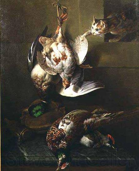 Francois Desportes A Cat Attacking Dead Game Germany oil painting art
